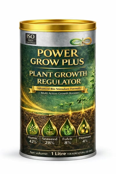 Plant-Based Protein Powder